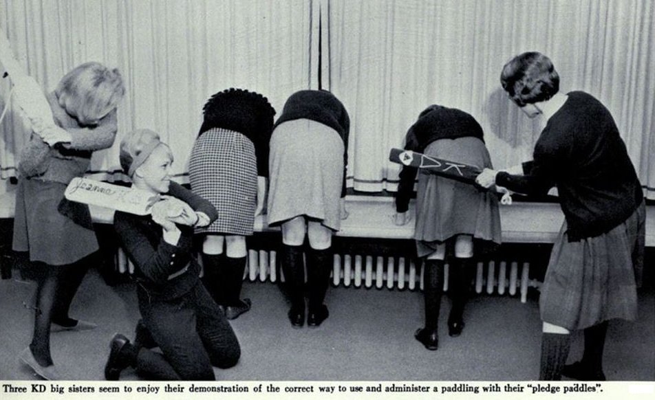 pledge-paddles-larger