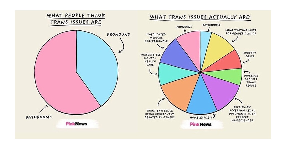 TransDayOfVisibility, kwesties