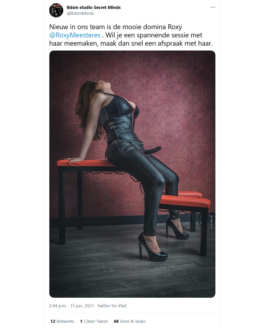 Mooie aanleiding voor Femdomslaven om de site van bijv Secret Minds bij te houden Femdomslaven, bied je aan!