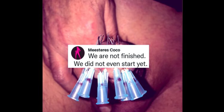 NIEUW! Nieuw domein en nieuwe site Meesteres Coco Den Haag!