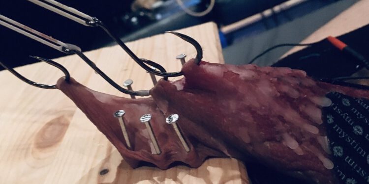 The bright and dark sides of… Meesteres Lady Luna