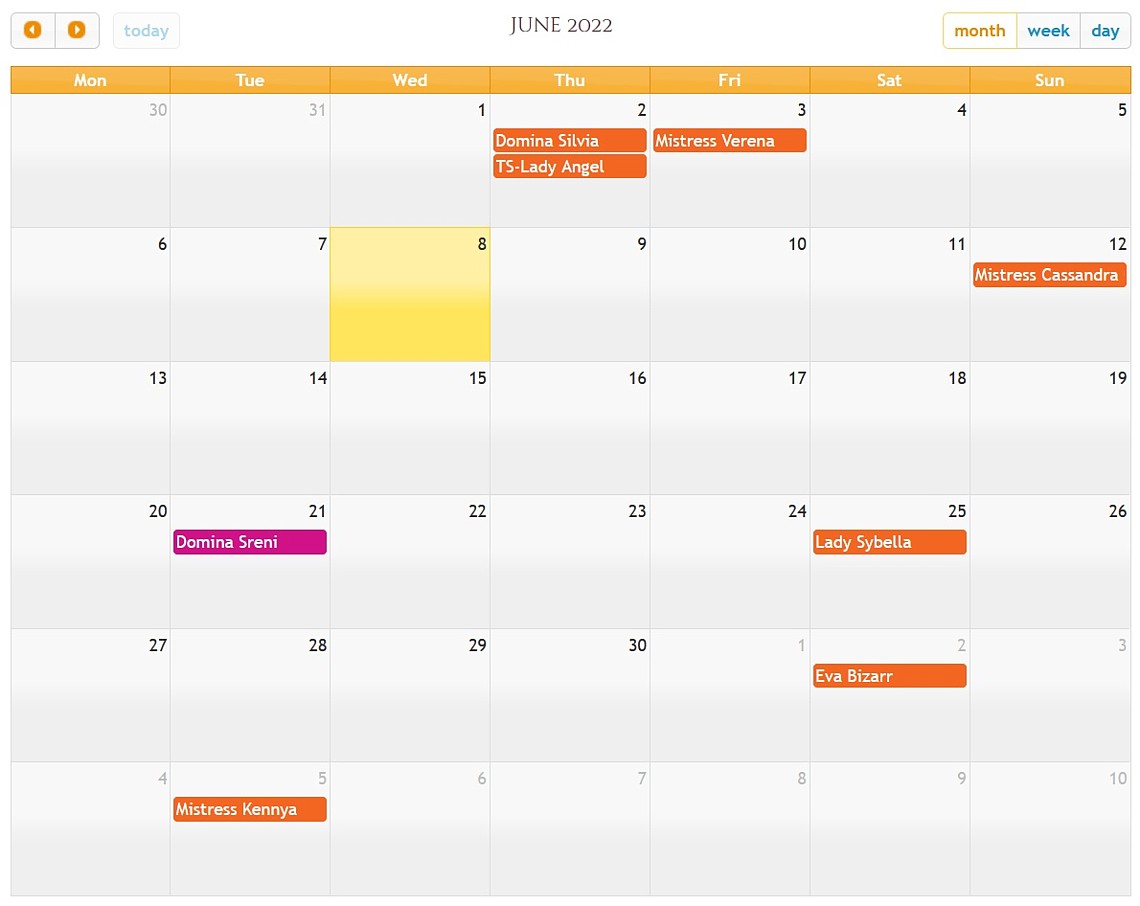 Verjaardag Meesteres