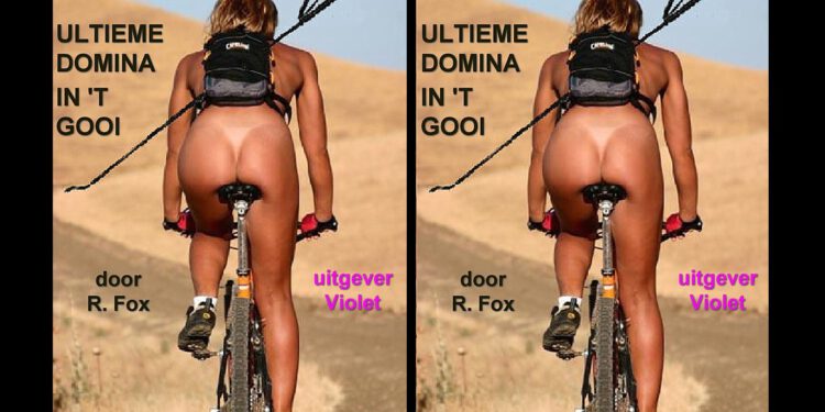 Boek: Ultieme Domina in ’t Gooi (van R. Fox)