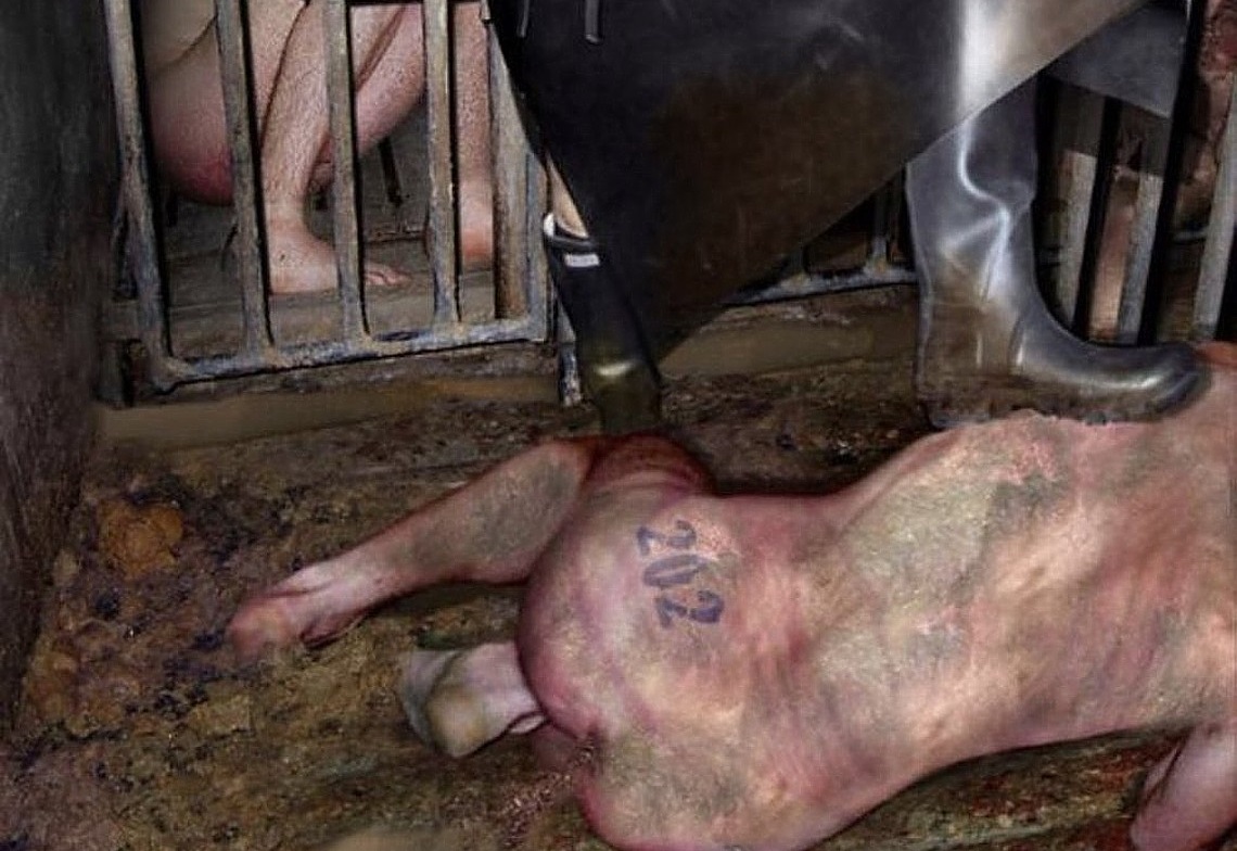 sadistische Meesteres