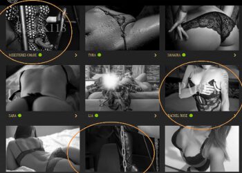 Update: Mrs Sofia! | webpartner Park 118 A’dam – doet het goed!