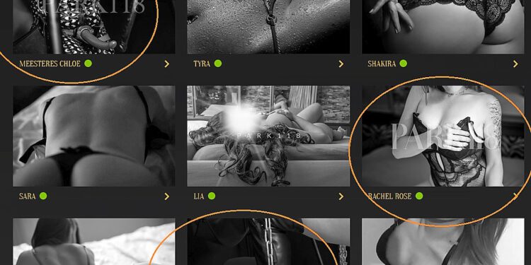 Update: Mrs Sofia! | webpartner Park 118 A’dam – doet het goed!