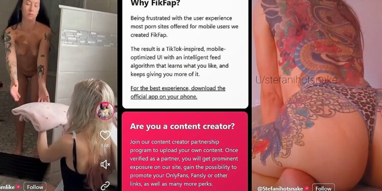 Berichtje aan Fikfap: How about a Femdom Fik?