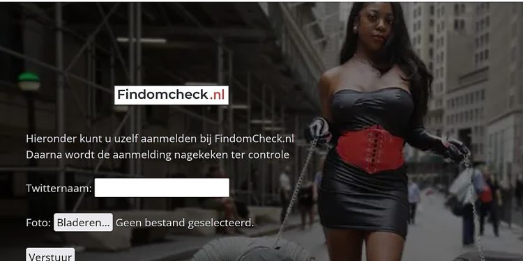 NIEUW – Findomcheck(.nl) voor al uw Findommes checks