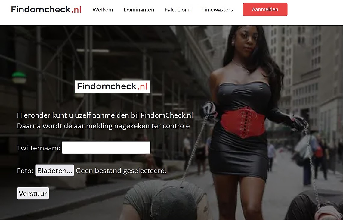 De checks van Findommes gebeuren na het opgeven van deze info Checks Findommes