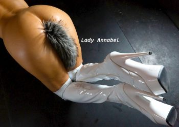 Lady Annabel bespreekt in haar column… Petplay!