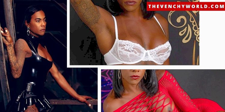 NIEUW | En toch ook niet: site van transMeesteres Bruna Venchy