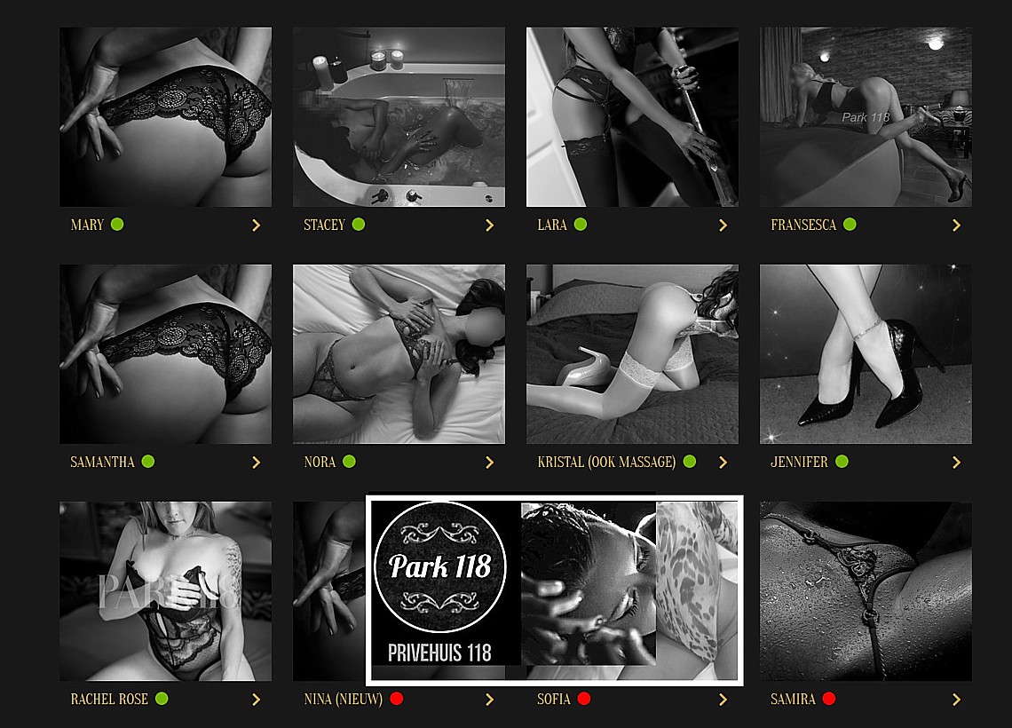 Doen een of meerdere aanwezige DvP's bij Park118 aan pegging? Bel! pegging park118