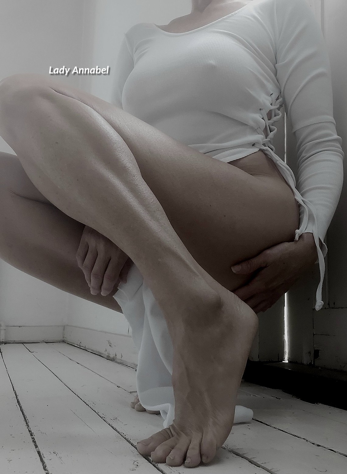 Lady Annabel in haar 18e column over de professionalisering van haar BDSM-diensten professionalisering BDSM