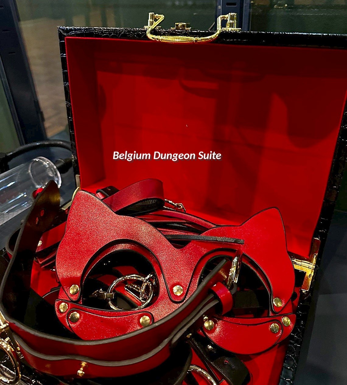 Een van de vele attributen van de Belgium Dungeon Suite te Diest Belgium Dungeon Suite