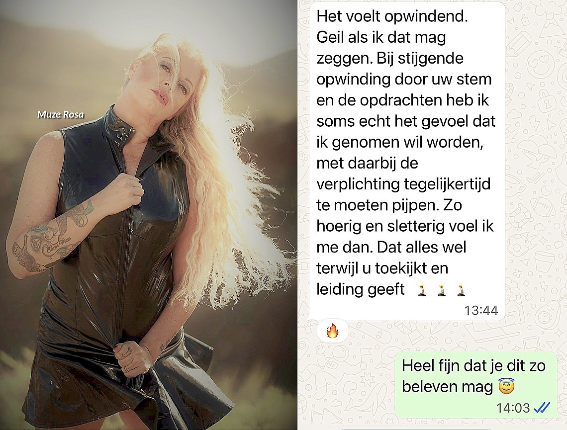 Een van de online slaven van muze Rosa doet een boekje open wat zij voor hem betekent. muze Rosa
