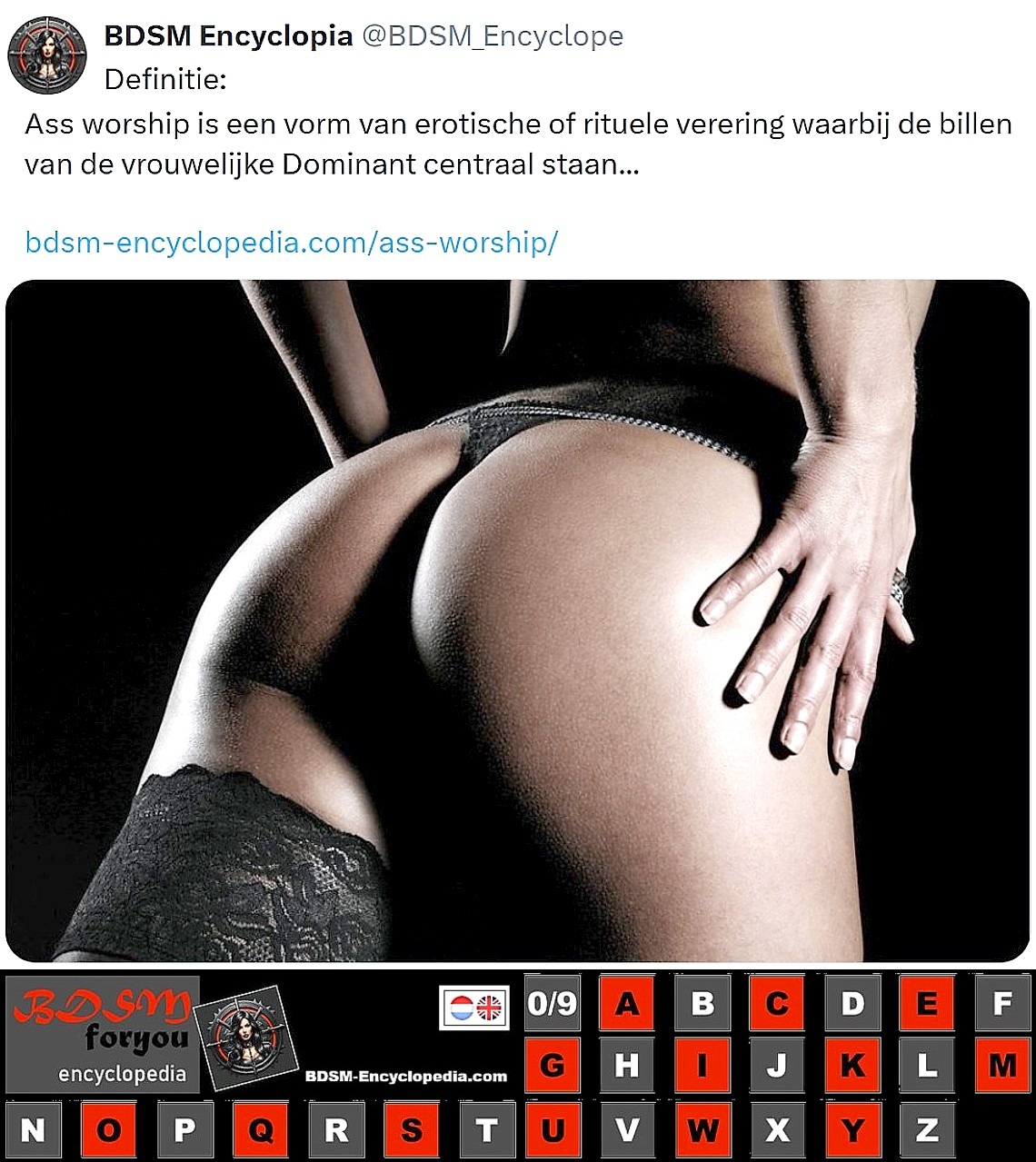 Duidelijke dieplinken naar de begrippen in de BDSM-encyclopedie BDSM-encyclopedie