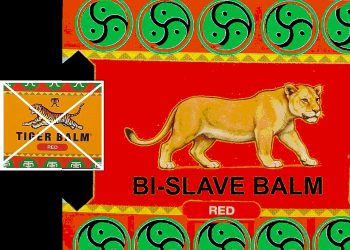 Klapjes’ concept voor die ene Leeuwin (plus partnerboodschappen)