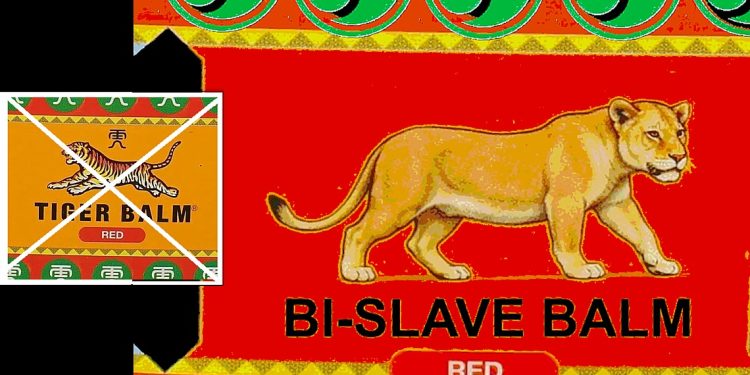 Klapjes’ concept voor die ene Leeuwin (plus partnerboodschappen)